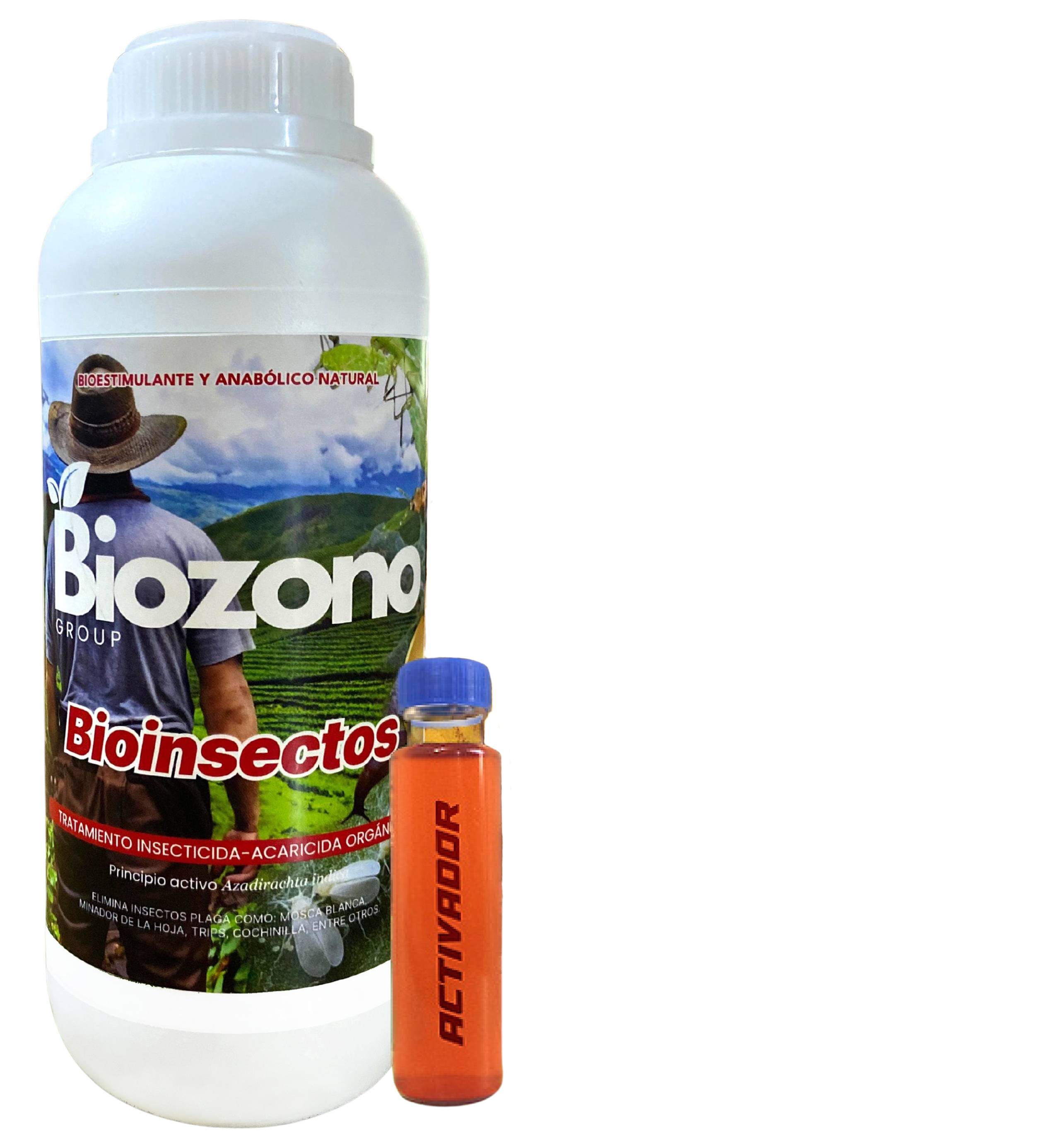 BIOINSECTOS
